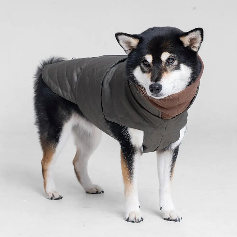 High-Neck Quilted Dog Vest – Warm Fashion Winter Coat – Dog Apparel (view 9) | Petix pet supplies for dogs and cats