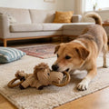 Interactive Dog Chew Toy - Horse – Dog Toys (main) | Petix pet supplies for dogs and cats