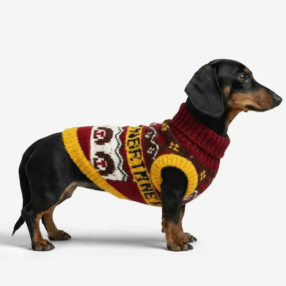 Jacquard Thick-Knit Sleeveless Dog Sweater – Designed for Dachshunds, French Bulldogs… | Petix pet supplies for dogs and cats