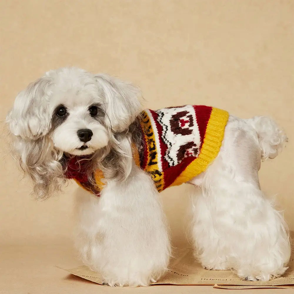 Jacquard Thick-Knit Sleeveless Dog Sweater – Designed for Dachshunds, French Bulldogs… | Petix pet supplies for dogs and cats