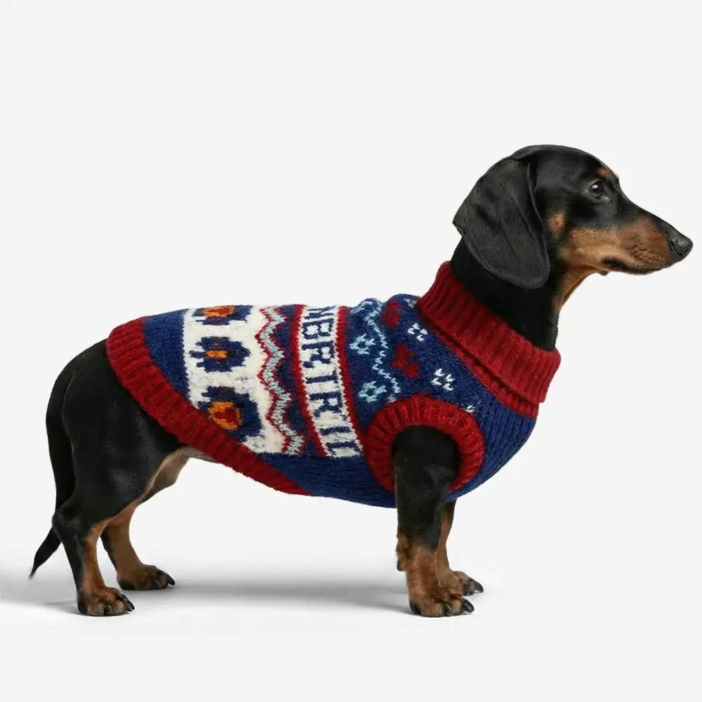 Jacquard Thick-Knit Sleeveless Dog Sweater – Designed for Dachshunds, French Bulldogs… | Petix pet supplies for dogs and cats