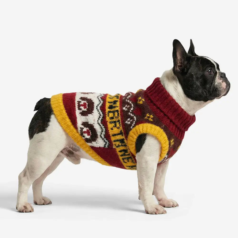Jacquard Thick-Knit Sleeveless Dog Sweater – Designed for Dachshunds, French Bulldogs… | Petix pet supplies for dogs and cats