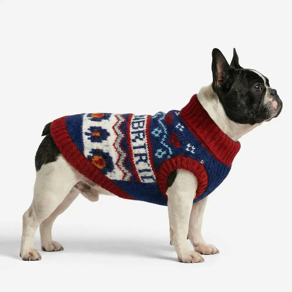 Jacquard Thick-Knit Sleeveless Dog Sweater – Designed for Dachshunds, French Bulldogs… | Petix pet supplies for dogs and cats