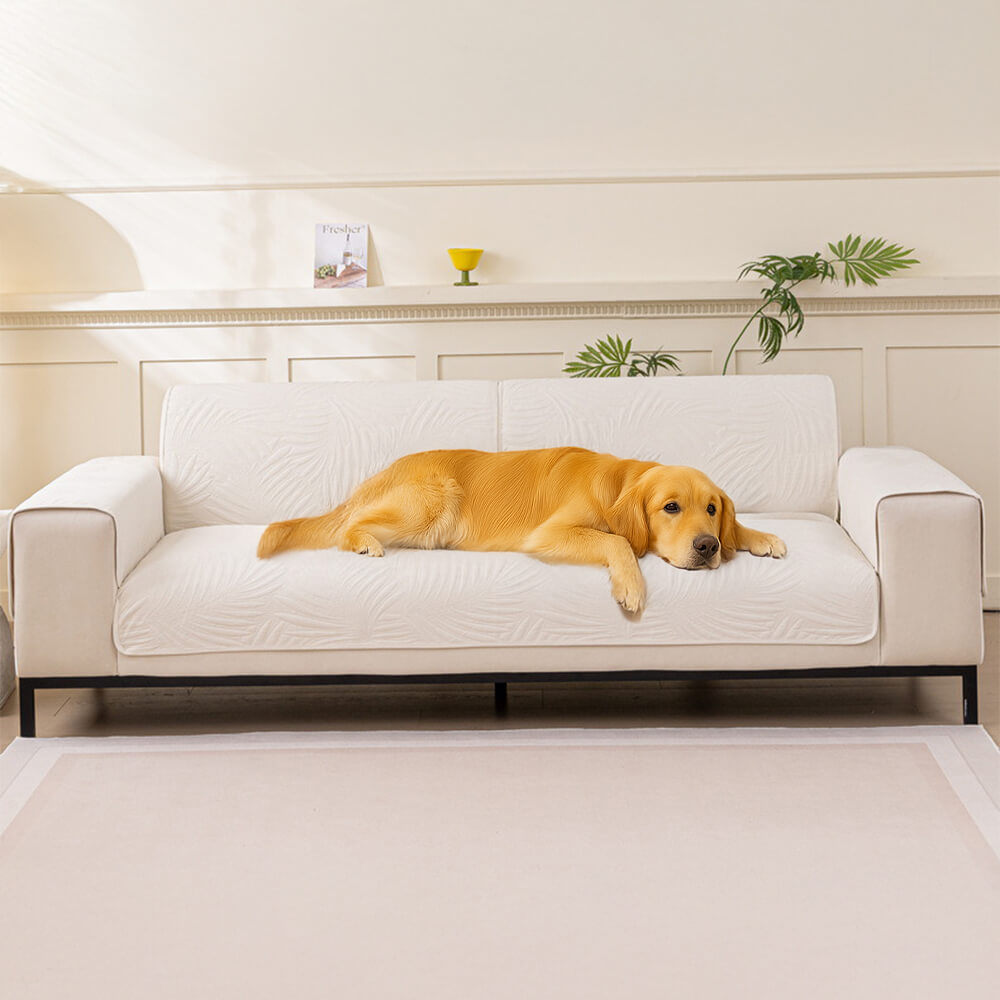 Large Leaf Pattern Water-resistant Sofa Protector Non-Slip Couch Cover – Couch Cover (… | Petix pet supplies for dogs and cats