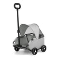 Lightweight Compact Foldable Small Dogs Pet Stroller with Sunshade Canopy – Pet Carrie… | Petix pet supplies for dogs and cats