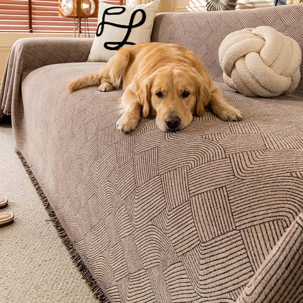 Linework Pattern Chenille Comfortable Scratch-Resistant Sofa Protection Couch Cover… | Petix pet supplies for dogs and cats