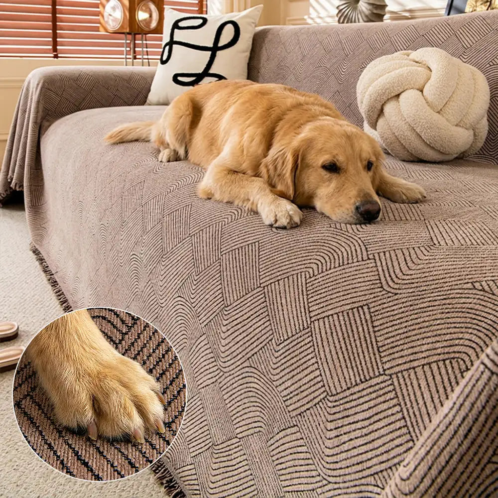 Linework Pattern Chenille Comfortable Scratch-Resistant Sofa Protection Couch Cover… | Petix pet supplies for dogs and cats