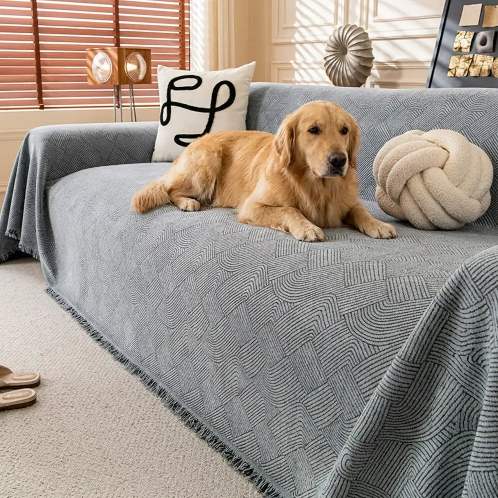 Linework Pattern Chenille Comfortable Scratch-Resistant Sofa Protection Couch Cover… | Petix pet supplies for dogs and cats
