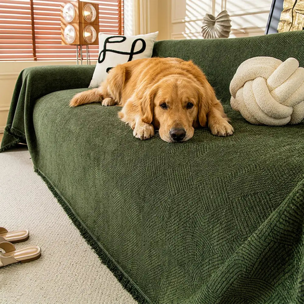 Linework Pattern Chenille Comfortable Scratch-Resistant Sofa Protection Couch Cover… | Petix pet supplies for dogs and cats