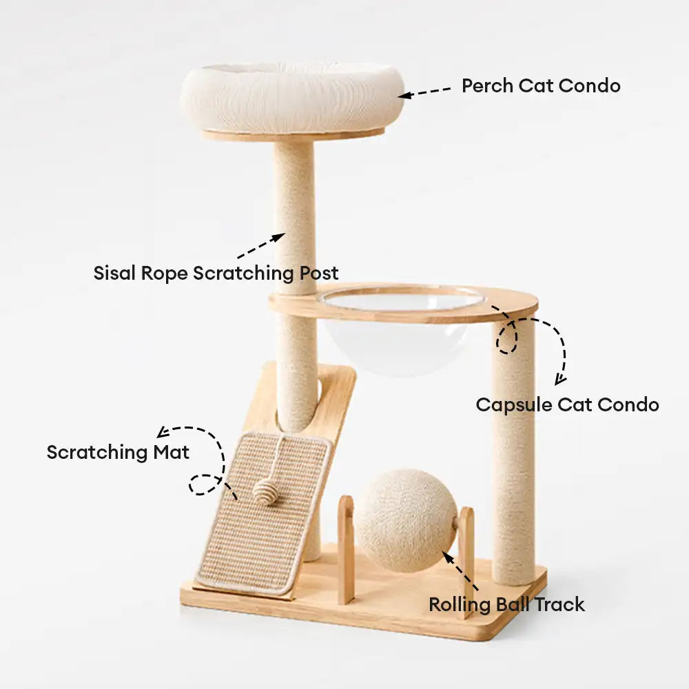 Modern Wooden Multi-Functional Play And Scratching Cat Tree with Space Capsule – Cat T… | Petix pet supplies for dogs and cats