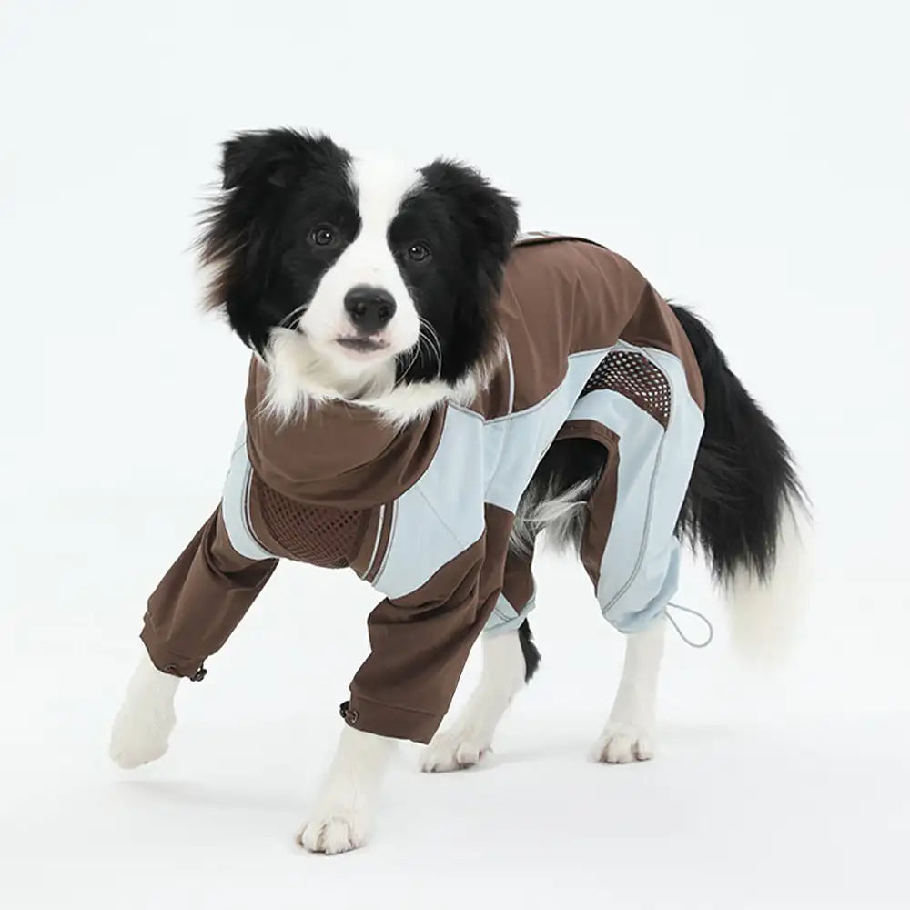 Multi-Functional Waterproof Windproof Dog Windbreaker Coat for Medium & Large Dogs – D… | Petix pet supplies for dogs and cats