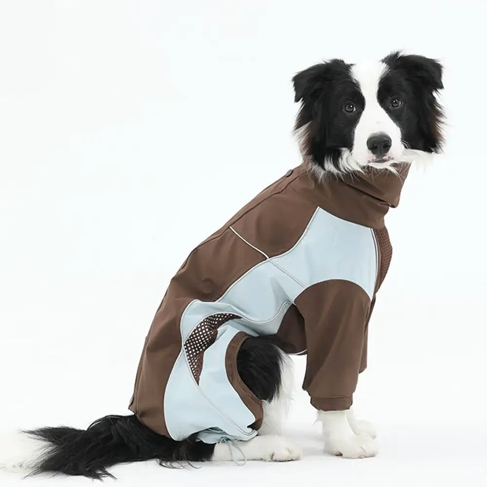 Multi-Functional Waterproof Windproof Dog Windbreaker Coat for Medium & Large Dogs – D… | Petix pet supplies for dogs and cats