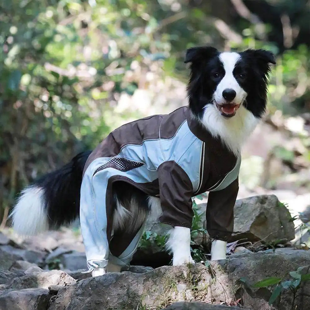 Multi-Functional Waterproof Windproof Dog Windbreaker Coat for Medium & Large Dogs – D… | Petix pet supplies for dogs and cats