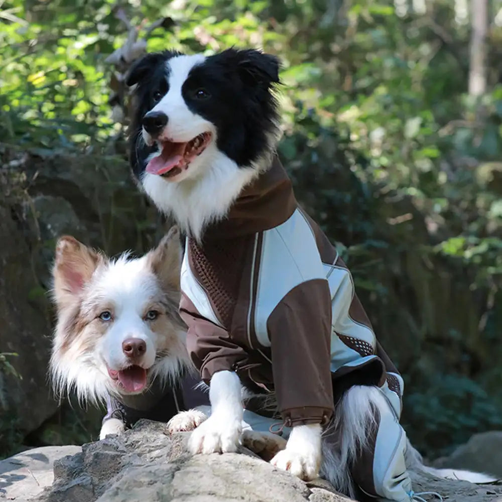 Multi-Functional Waterproof Windproof Dog Windbreaker Coat for Medium & Large Dogs – D… | Petix pet supplies for dogs and cats