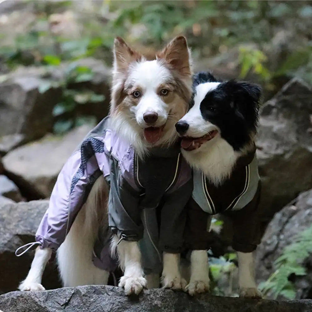 Multi-Functional Waterproof Windproof Dog Windbreaker Coat for Medium & Large Dogs – D… | Petix pet supplies for dogs and cats