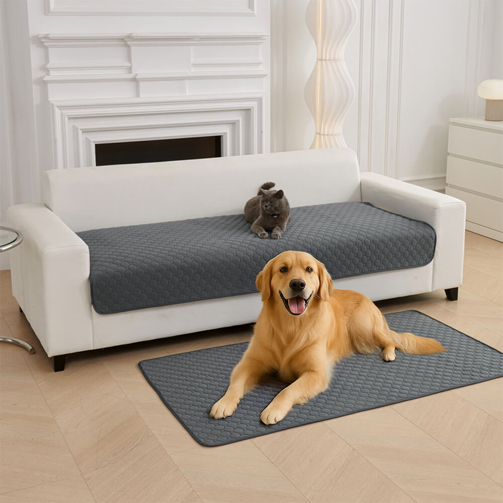 Multi-Purpose Absorbent Leakproof Washable Pet Mat for Sofa and Bed – Dog Mat (main) | Petix pet supplies for dogs and cats