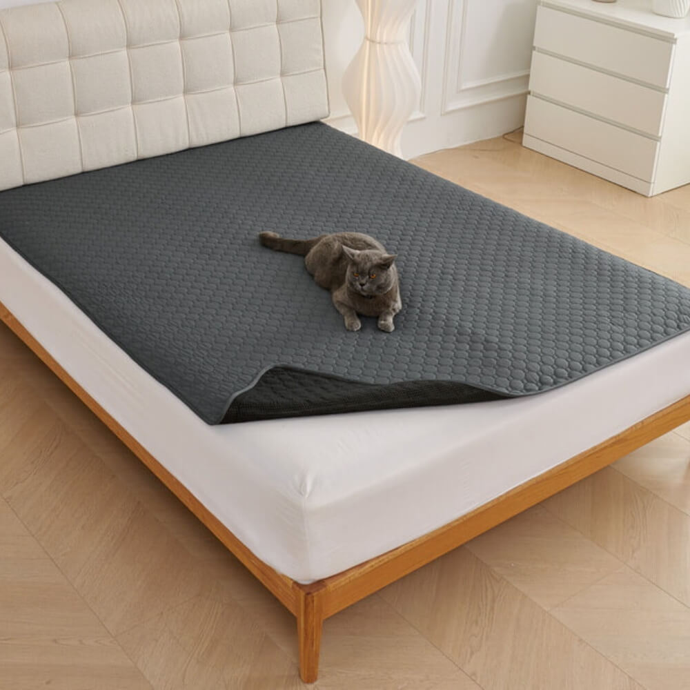 Multi-Purpose Absorbent Leakproof Washable Pet Mat for Sofa and Bed – Dog Mat (view 2) | Petix pet supplies for dogs and cats