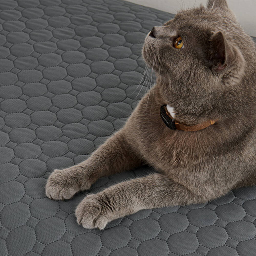 Multi-Purpose Absorbent Leakproof Washable Pet Mat for Sofa and Bed – Dog Mat (view 4) | Petix pet supplies for dogs and cats