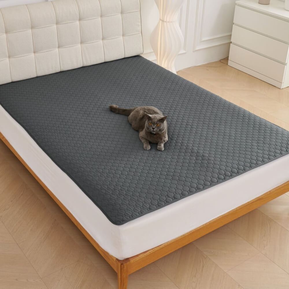 Multi-Purpose Absorbent Leakproof Washable Pet Mat for Sofa and Bed – Dog Mat (view 9) | Petix pet supplies for dogs and cats