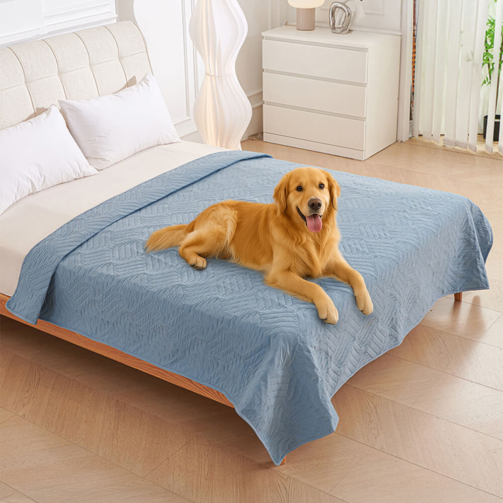 Multifunctional Water-resistant Urine Proof & Washable Pet Blanket Bed Cover – Bedding… | Petix pet supplies for dogs and cats