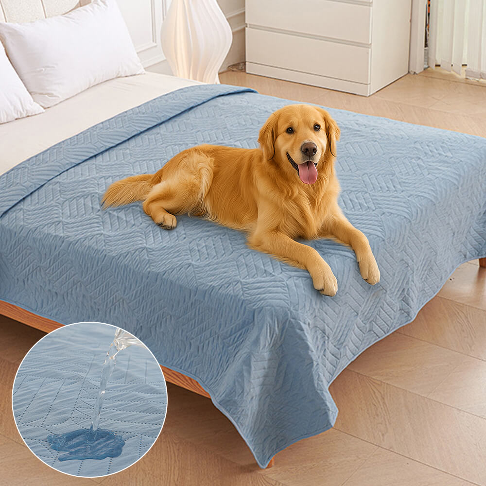 Multifunctional Water-resistant Urine Proof & Washable Pet Blanket Bed Cover – Bedding… | Petix pet supplies for dogs and cats