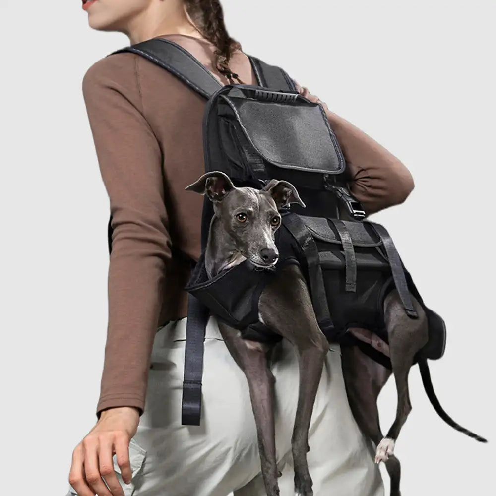 Outdoor Sports Portable Ergonomic Comfortable Lift Harness Dog Sling Carrier – Pet Car… | Petix pet supplies for dogs and cats