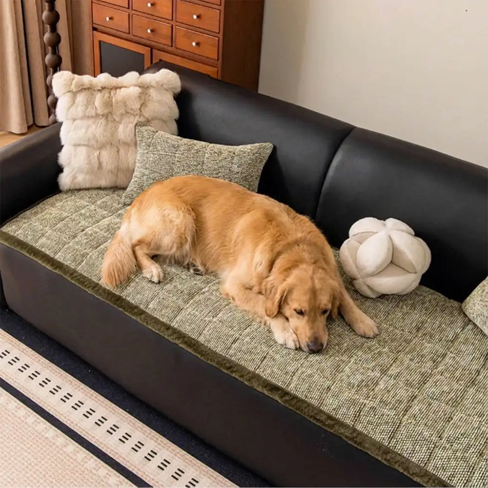 Pet-Friendly Chenille Textured Non-Slip Couch Cover with Frayed Edges – Couch Cover (m… | Petix pet supplies for dogs and cats