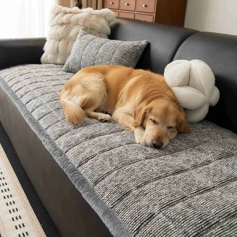 Pet-Friendly Chenille Textured Non-Slip Couch Cover with Frayed Edges – Couch Cover (v… | Petix pet supplies for dogs and cats