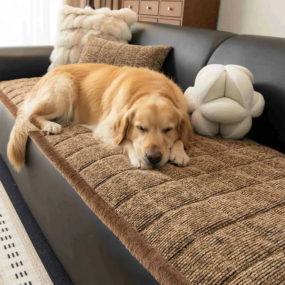 Pet-Friendly Chenille Textured Non-Slip Couch Cover with Frayed Edges – Couch Cover (v… | Petix pet supplies for dogs and cats