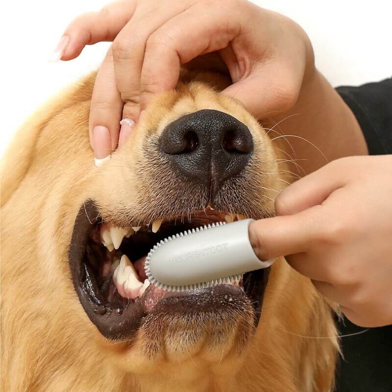 Pet Toothbrush Finger Toothbrush – Pet Grooming Supplies (view 3) | Petix pet supplies for dogs and cats