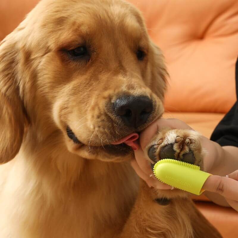 Pet Toothbrush Finger Toothbrush – Pet Grooming Supplies (view 4) | Petix pet supplies for dogs and cats