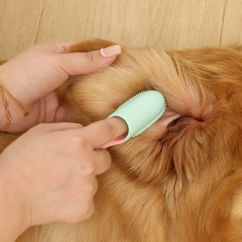 Pet Toothbrush Finger Toothbrush – Pet Grooming Supplies (view 6) | Petix pet supplies for dogs and cats