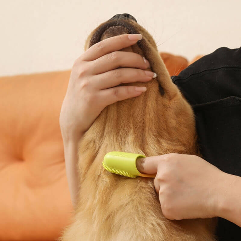 Pet Toothbrush Finger Toothbrush – Pet Grooming Supplies (view 7) | Petix pet supplies for dogs and cats