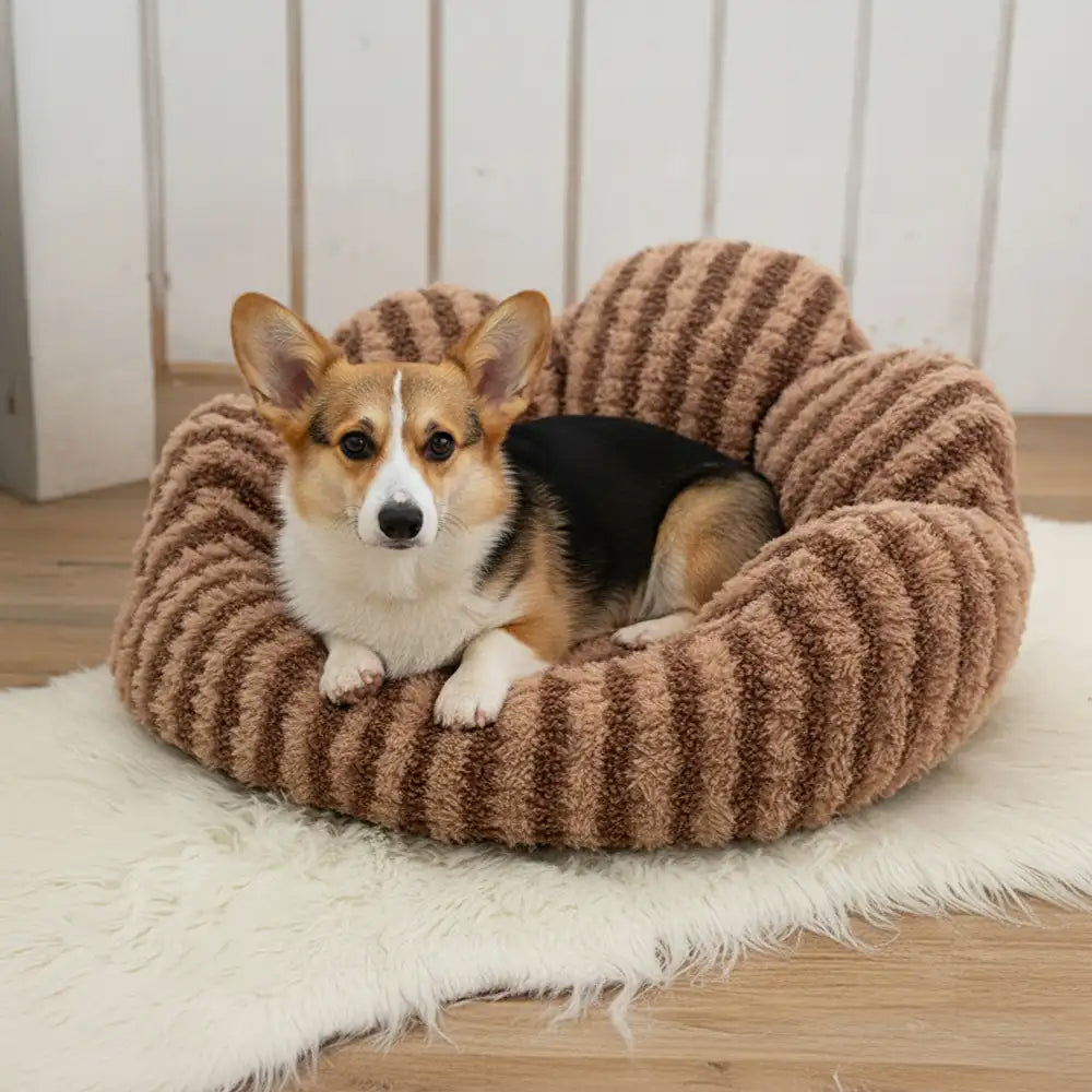 Petal-Shaped Striped Plush Pet Sofa Bed – Dog Beds (main) | Petix pet supplies for dogs and cats
