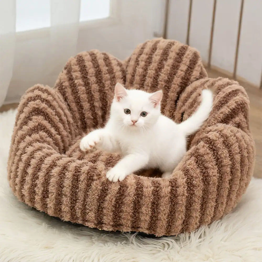 Petal-Shaped Striped Plush Pet Sofa Bed – Dog Beds (view 10) | Petix pet supplies for dogs and cats
