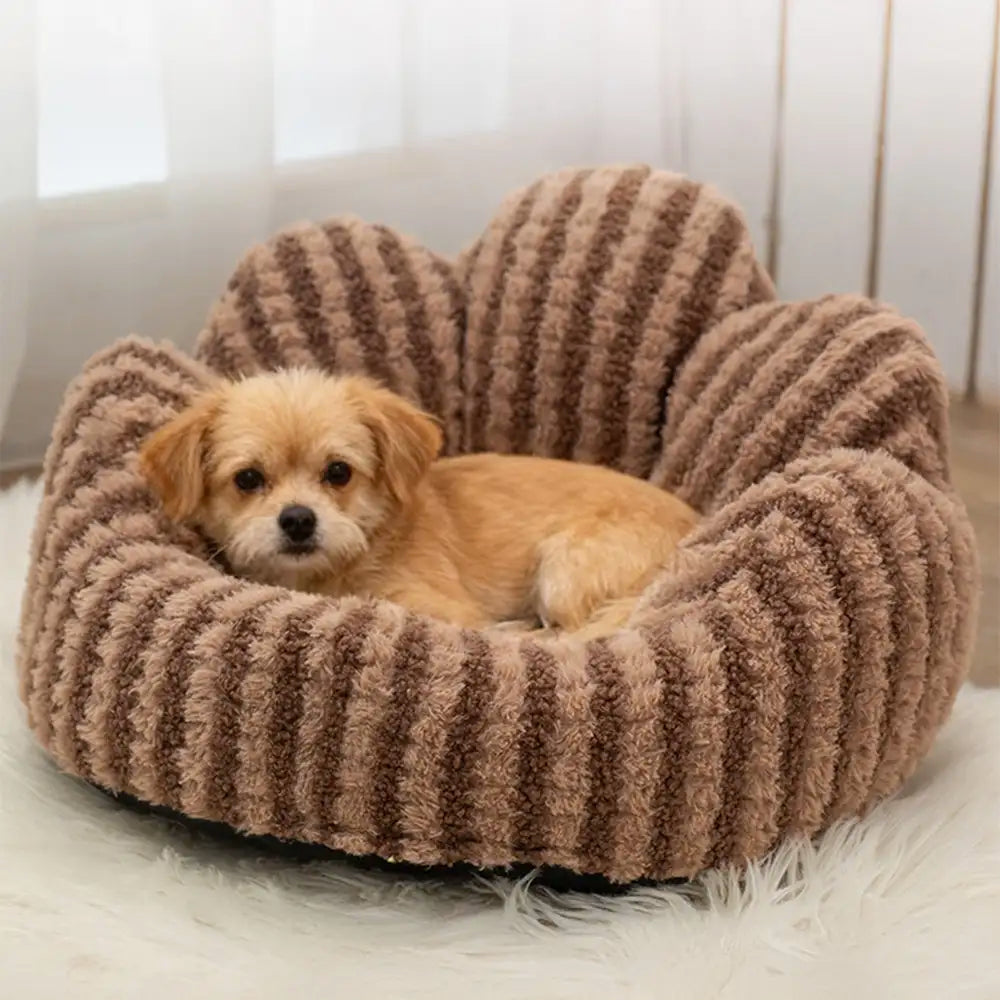 Petal-Shaped Striped Plush Pet Sofa Bed – Dog Beds (view 14) | Petix pet supplies for dogs and cats