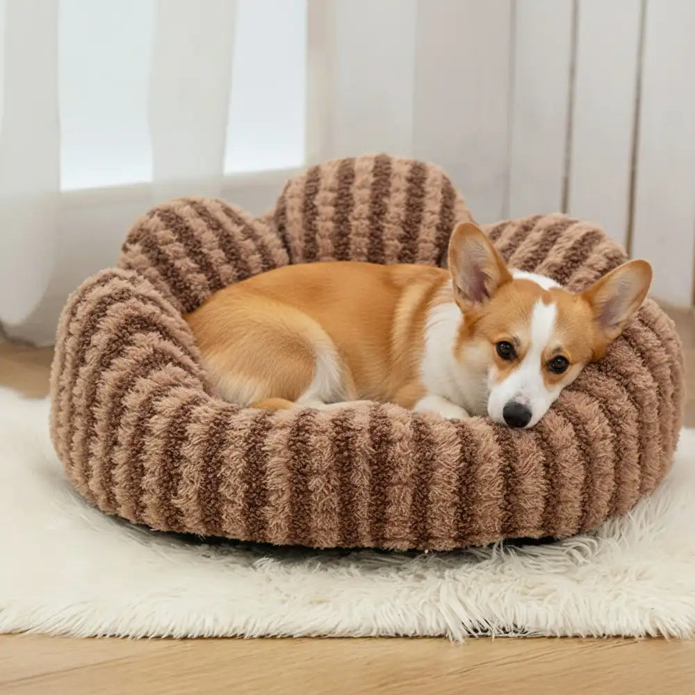 Petal-Shaped Striped Plush Pet Sofa Bed – Dog Beds (view 3) | Petix pet supplies for dogs and cats