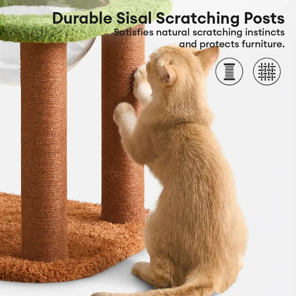 Playful Multi-Level Plush Activity Center  Cat Tree with Space Capsule – Cat Tree (vie… | Petix pet supplies for dogs and cats
