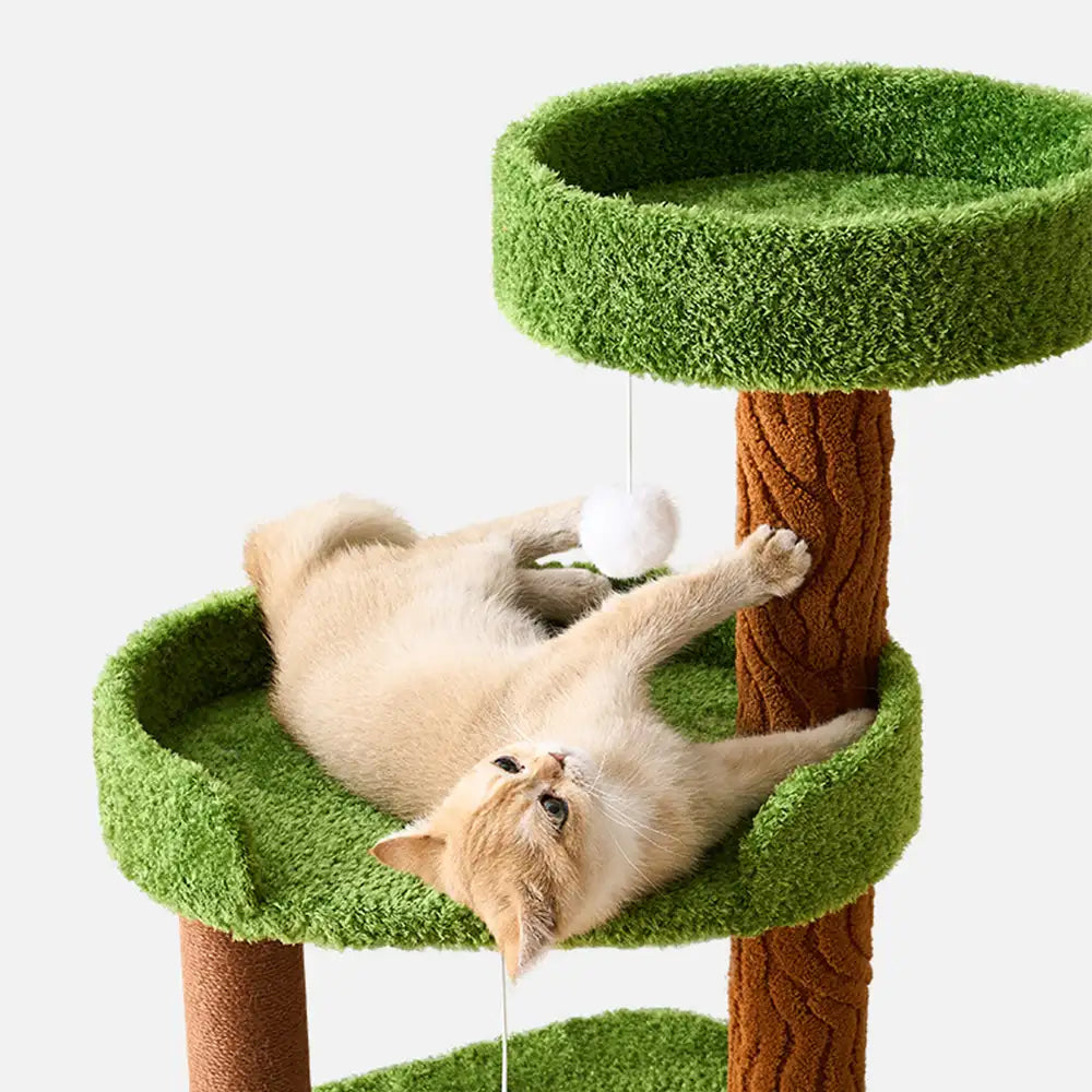 Playful Multi-Level Plush Activity Center  Cat Tree with Space Capsule – Cat Tree (vie… | Petix pet supplies for dogs and cats