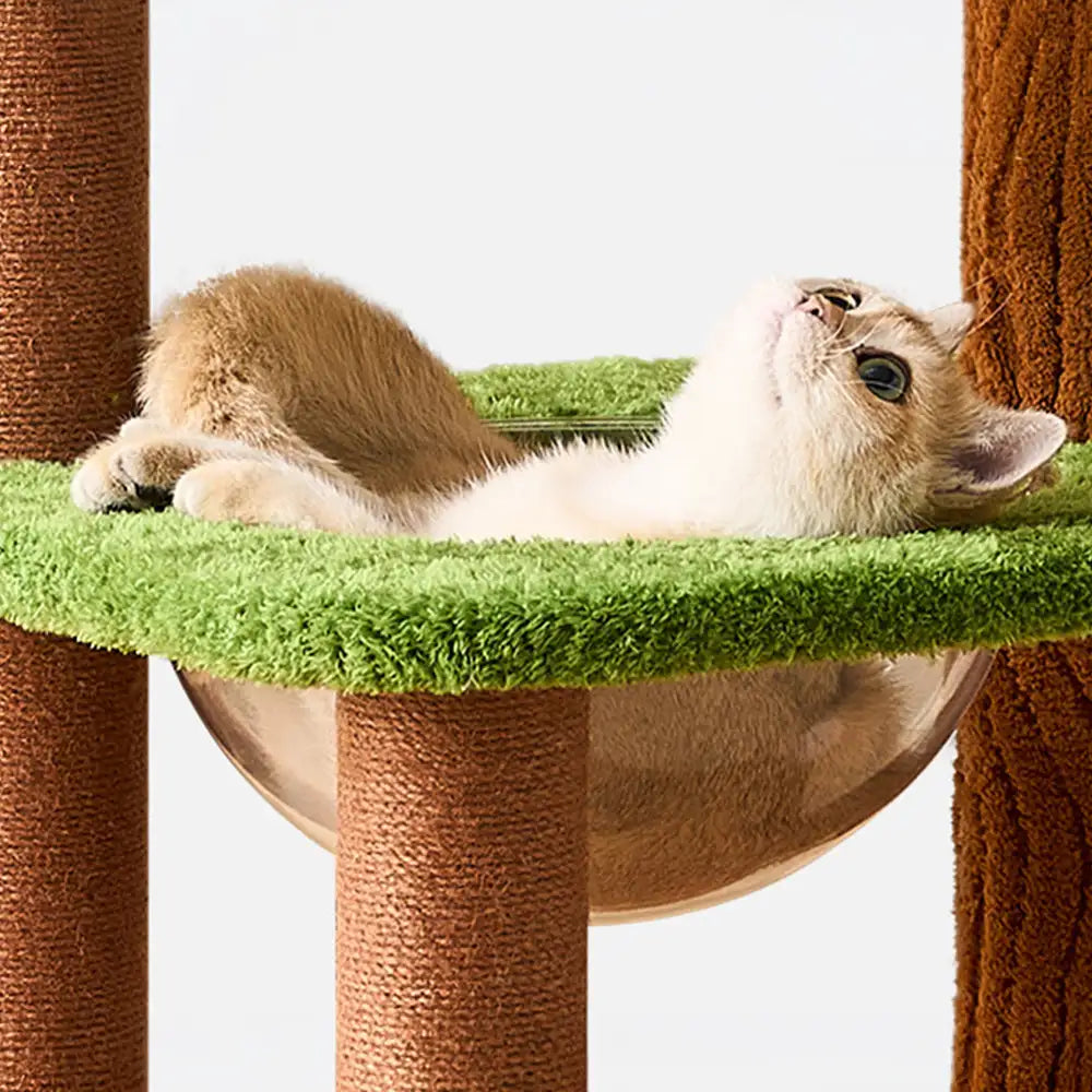 Playful Multi-Level Plush Activity Center  Cat Tree with Space Capsule – Cat Tree (vie… | Petix pet supplies for dogs and cats