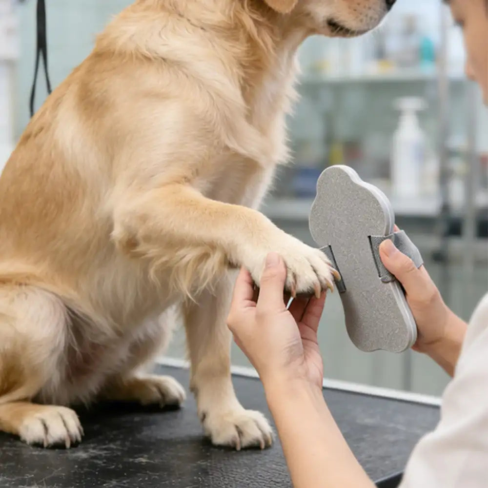Portable Dog Nail Scratch Board – Pet Grooming Supplies (main) | Petix pet supplies for dogs and cats