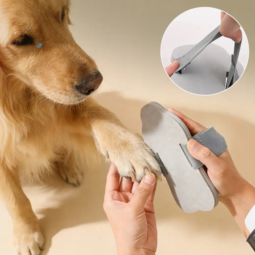 Portable Dog Nail Scratch Board – Pet Grooming Supplies (view 3) | Petix pet supplies for dogs and cats