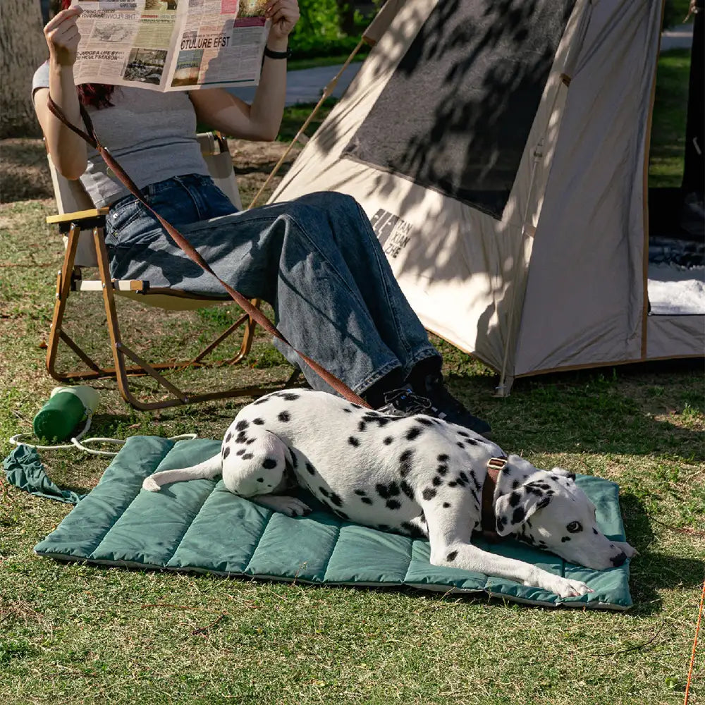 Portable Foldable Double-Sided Water-Repellent Dog Mat for Outdoor Travel & Camping… | Petix pet supplies for dogs and cats