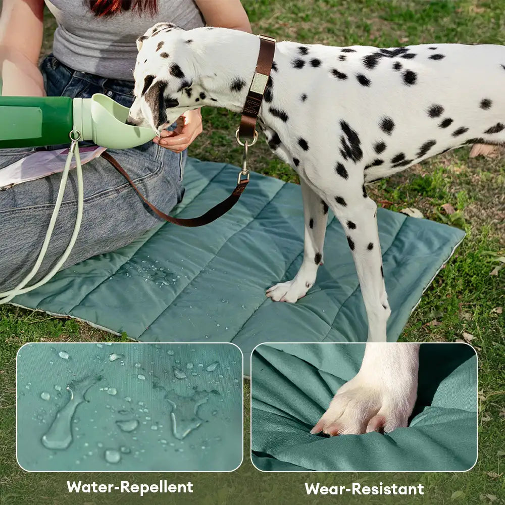Portable Foldable Double-Sided Water-Repellent Dog Mat for Outdoor Travel & Camping… | Petix pet supplies for dogs and cats