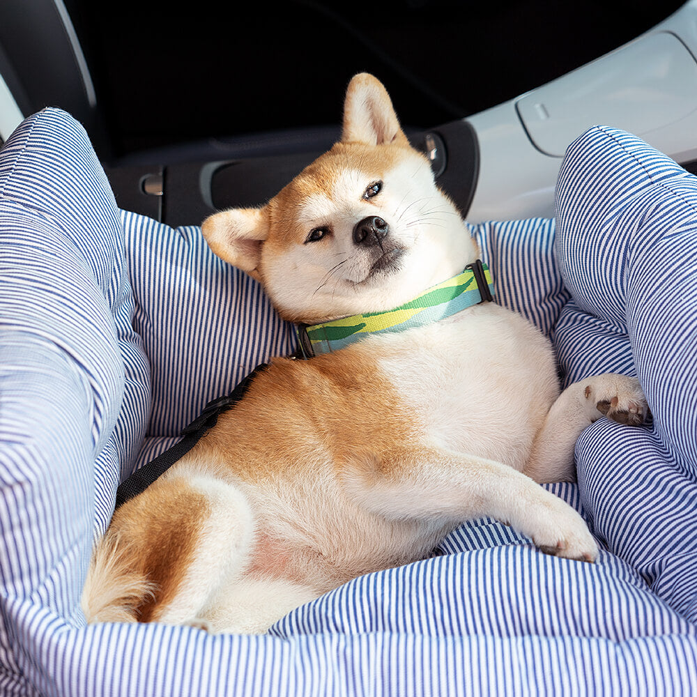 Portable ISOFIX Dog Car Seat Bed with LATCH System – Dog Car Seat (view 31) | Petix pet supplies for dogs and cats
