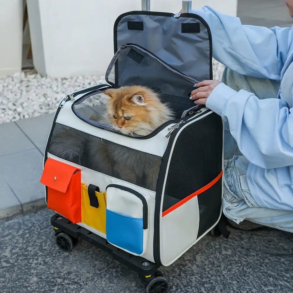 Portable Rolling Pet Backpack Carrier with Detachable Trolley Dog Cat Carrier – Pet Ca… | Petix pet supplies for dogs and cats