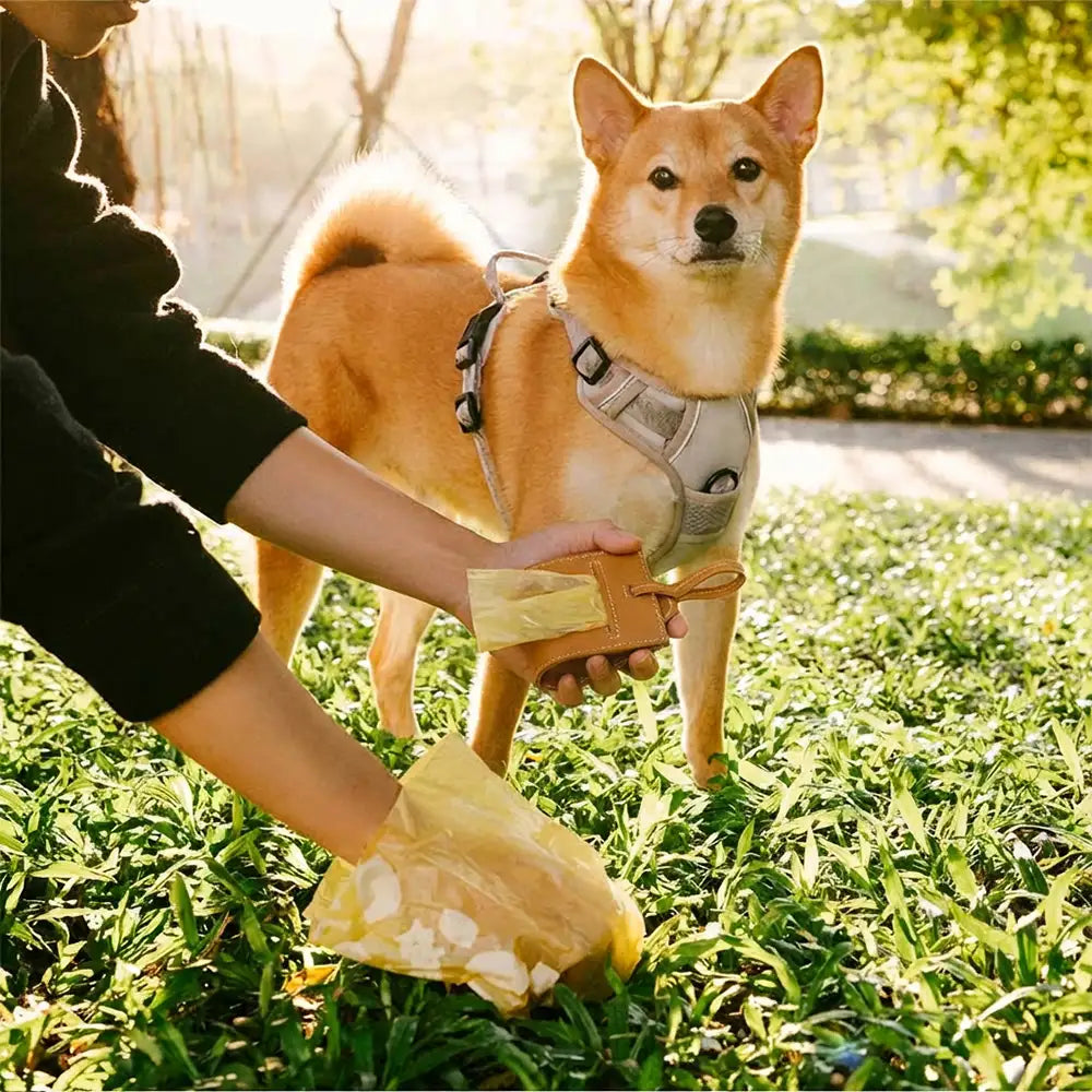 PU Leather Dog Poop Bag Dispenser – Pet Waste Bags & Dispensers & Holders (view 11) | Petix pet supplies for dogs and cats