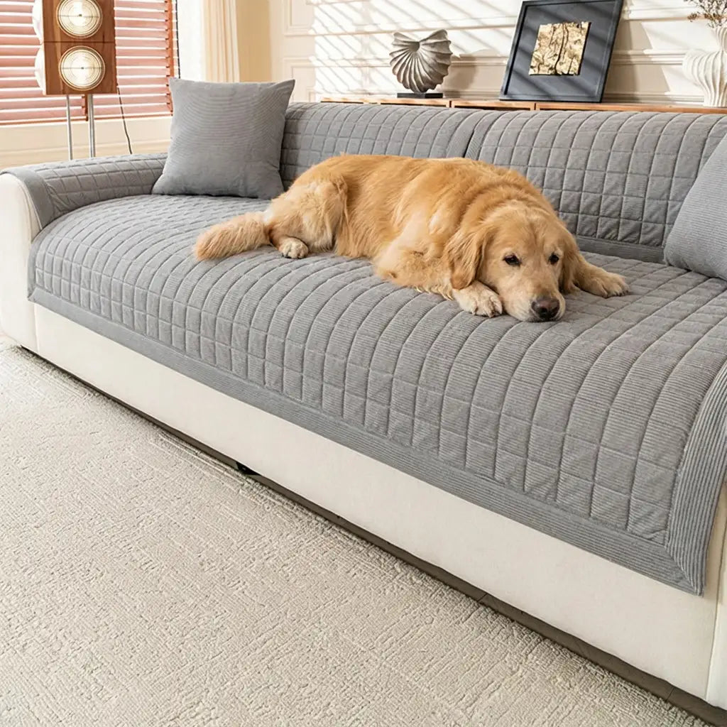 Quilted Square Simple Comfortable Sofa Protector Non-Slip Couch Cover – Couch Cover (v… | Petix pet supplies for dogs and cats