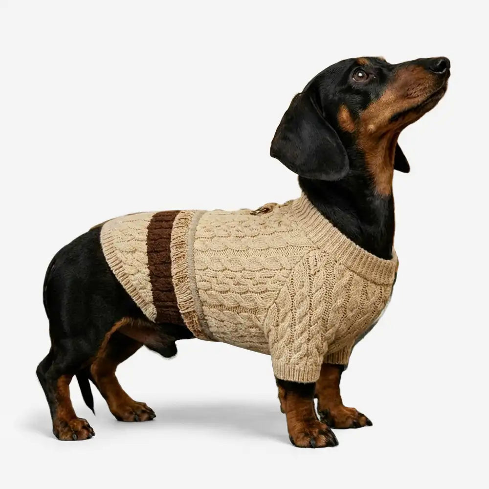 Retro Cable Knit Dachshund And Small To Medium-Sized Dog Sweater – Dog Apparel (view 3) | Petix pet supplies for dogs and cats