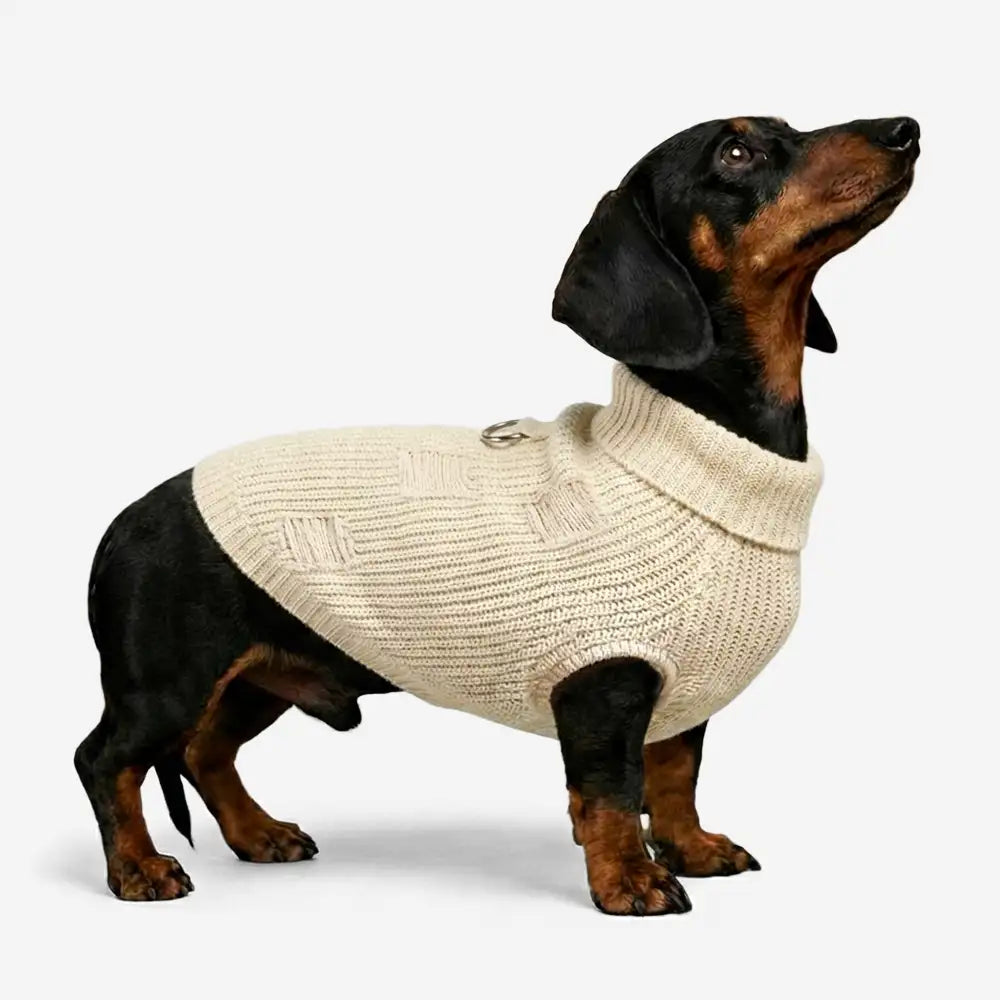Retro Cable Knit Dachshund And Small To Medium-Sized Dog Sweater – Dog Apparel (view 4) | Petix pet supplies for dogs and cats